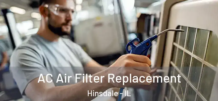  AC Air Filter Replacement Hinsdale - IL