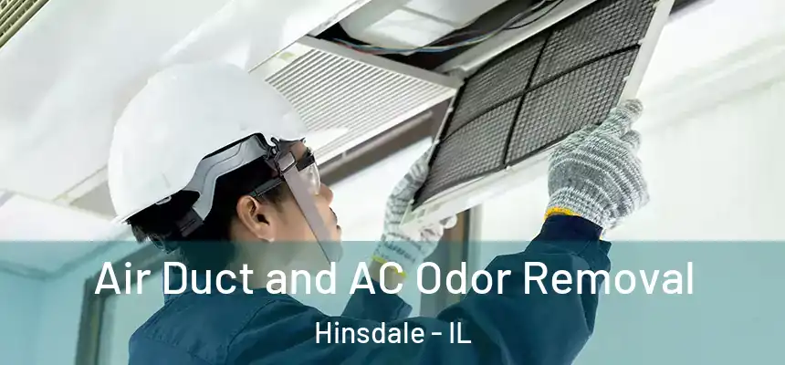  Air Duct and AC Odor Removal Hinsdale - IL