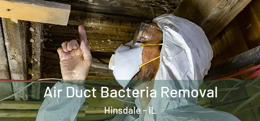  Air Duct Bacteria Removal Hinsdale - IL