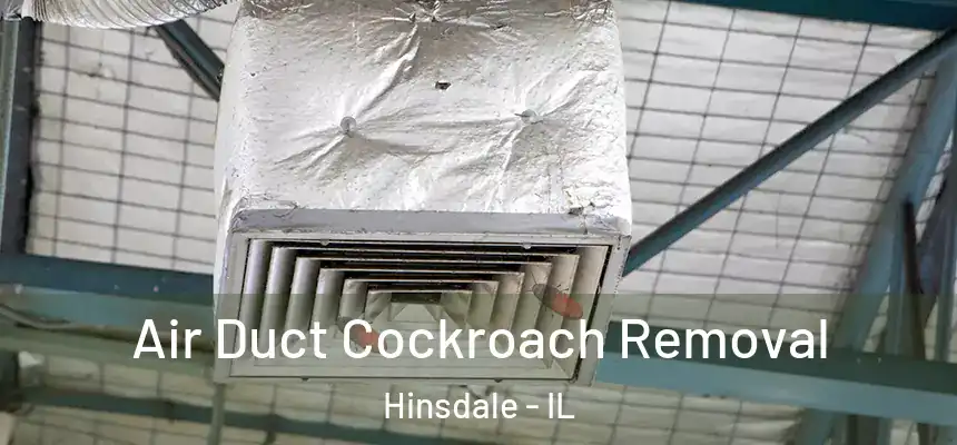  Air Duct Cockroach Removal Hinsdale - IL