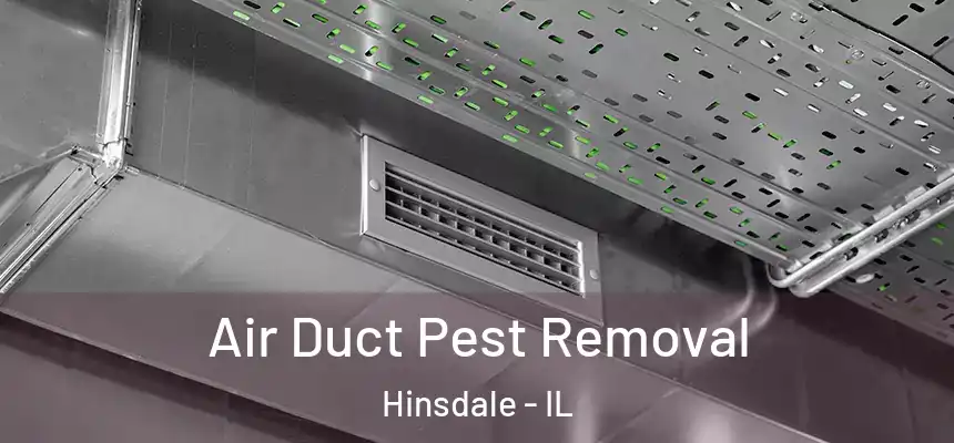  Air Duct Pest Removal Hinsdale - IL
