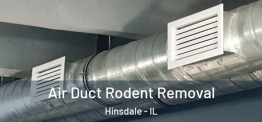 Air Duct Rodent Removal Hinsdale - IL