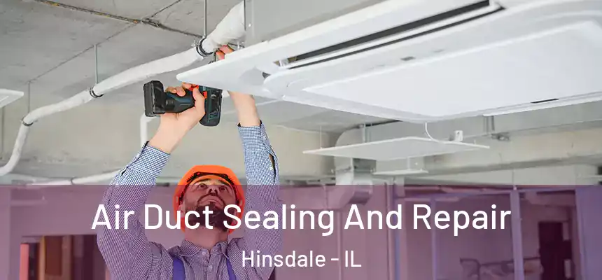  Air Duct Sealing And Repair Hinsdale - IL
