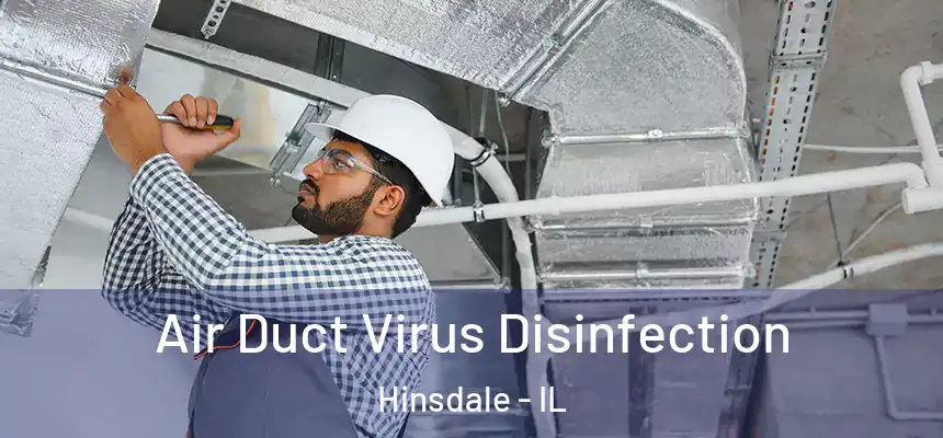 Air Duct Virus Disinfection Hinsdale - IL