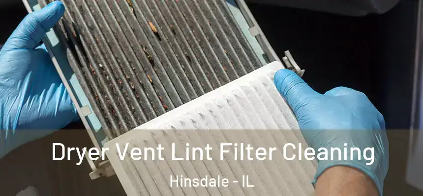  Dryer Vent Lint Filter Cleaning Hinsdale - IL