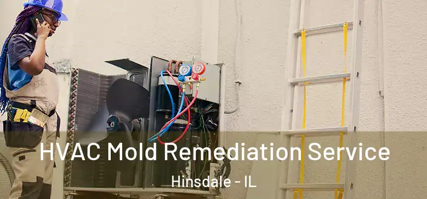 HVAC Mold Remediation Service Hinsdale - IL
