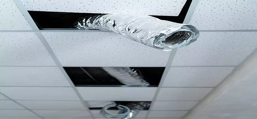 Our Air Duct Pet Hair Removal Services in Hinsdale, IL