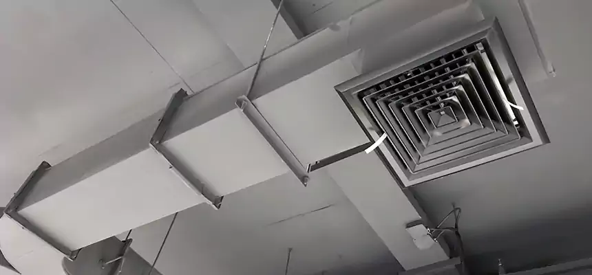 Restorative Allergy Relief Vent Cleaning – Coil, Blower & Housing Detail in Hinsdale