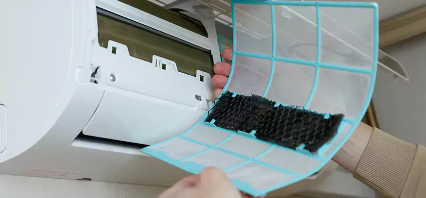 Gentle Ductwork Odor-Control Pet Dander Duct Cleaning in Hinsdale, IL