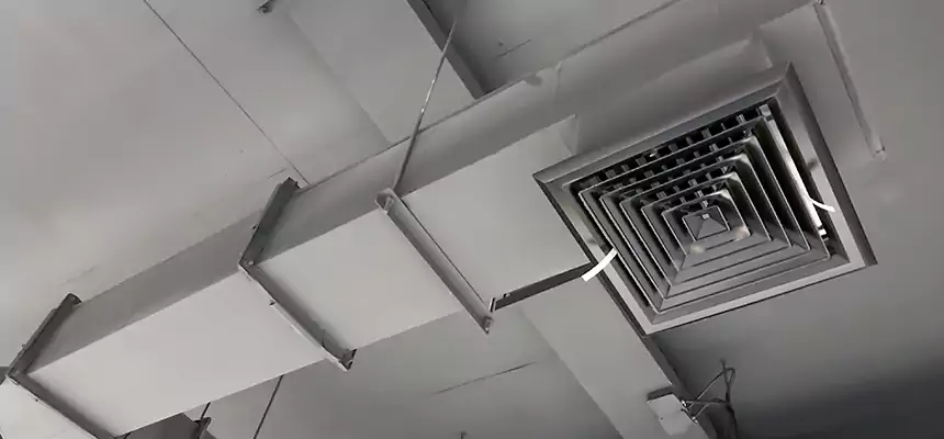 Our Rodent Droppings In Vents Services in Hinsdale, IL