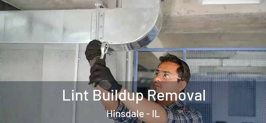  Lint Buildup Removal Hinsdale - IL