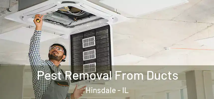  Pest Removal From Ducts Hinsdale - IL