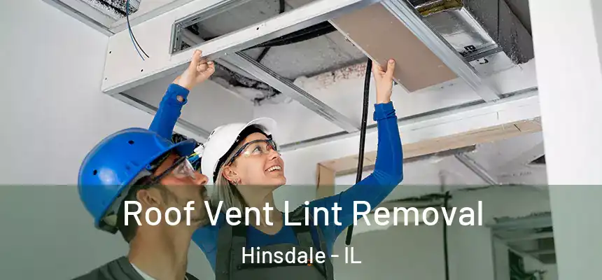Roof Vent Lint Removal Hinsdale - IL