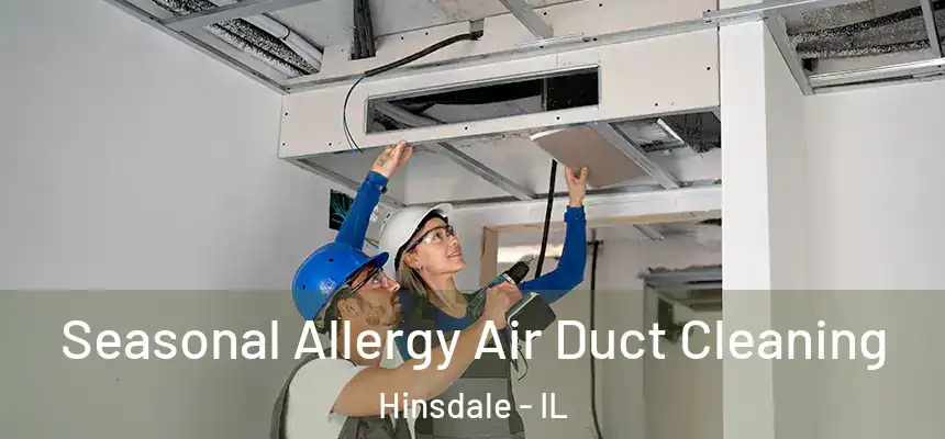  Seasonal Allergy Air Duct Cleaning Hinsdale - IL