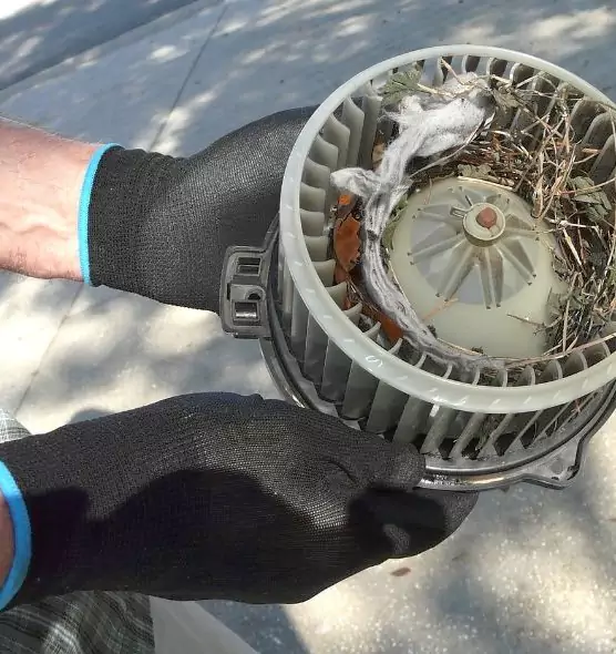 About Air Duct Rat Removal in Hinsdale, IL