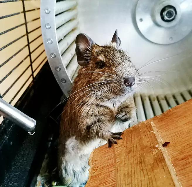 Why Homeowners & Businesses Trust Us Hinsdale, IL