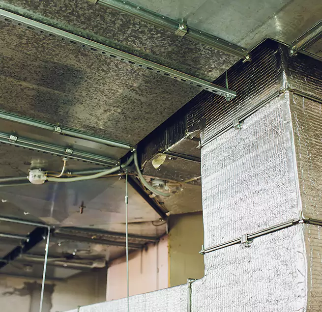 Why Homeowners & Businesses Trust Us in Hinsdale, IL?