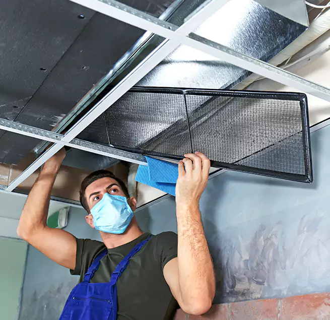 Why Homeowners & Businesses Trust Us in Hinsdale, IL?